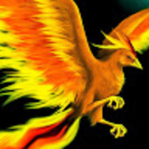 Meet your Posher, Bryce smith